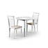 Coast Drop Leaf Dining Set with 2 Coast Dining Chairs White