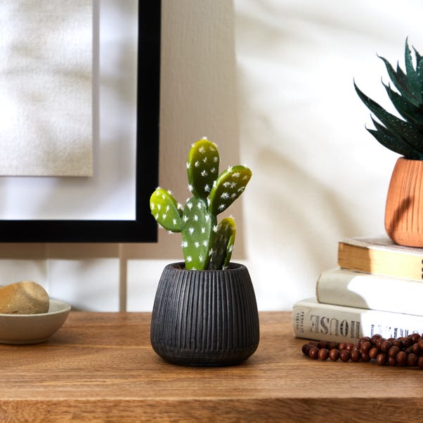 Artificial Cacti in Black Ribbed Ceramic Plant Pot image 1 of 4