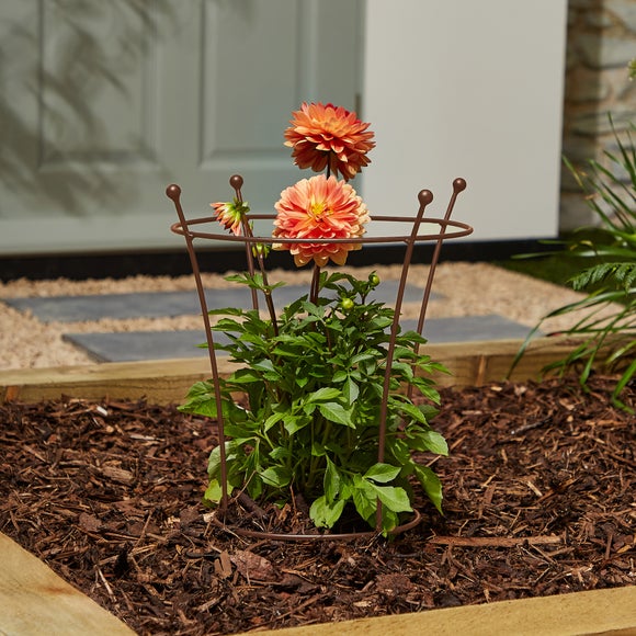 Supporting peonies discount