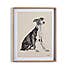 Churchgate Greyhound Framed Print Black and white