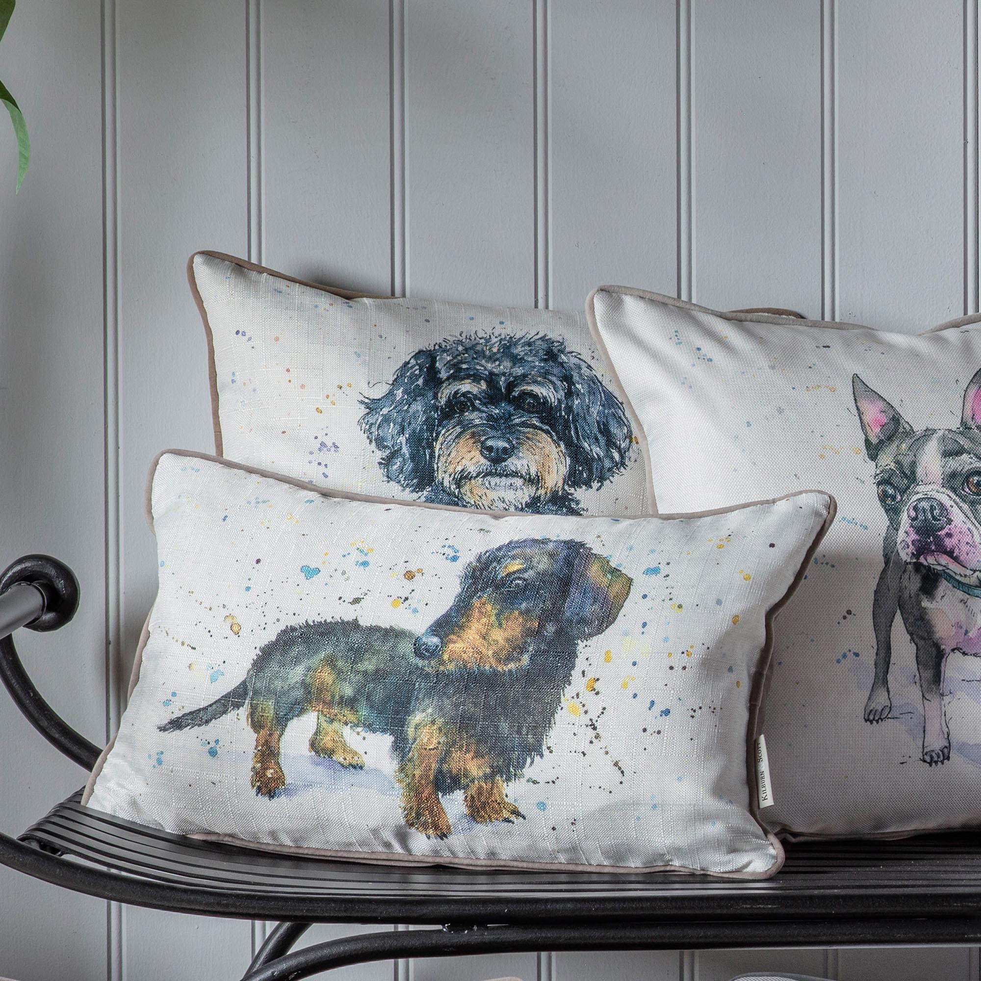 cavapoo cushion