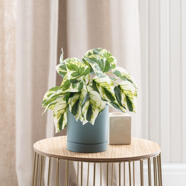 Artificial Devils Ivy in Pacific Pot Green