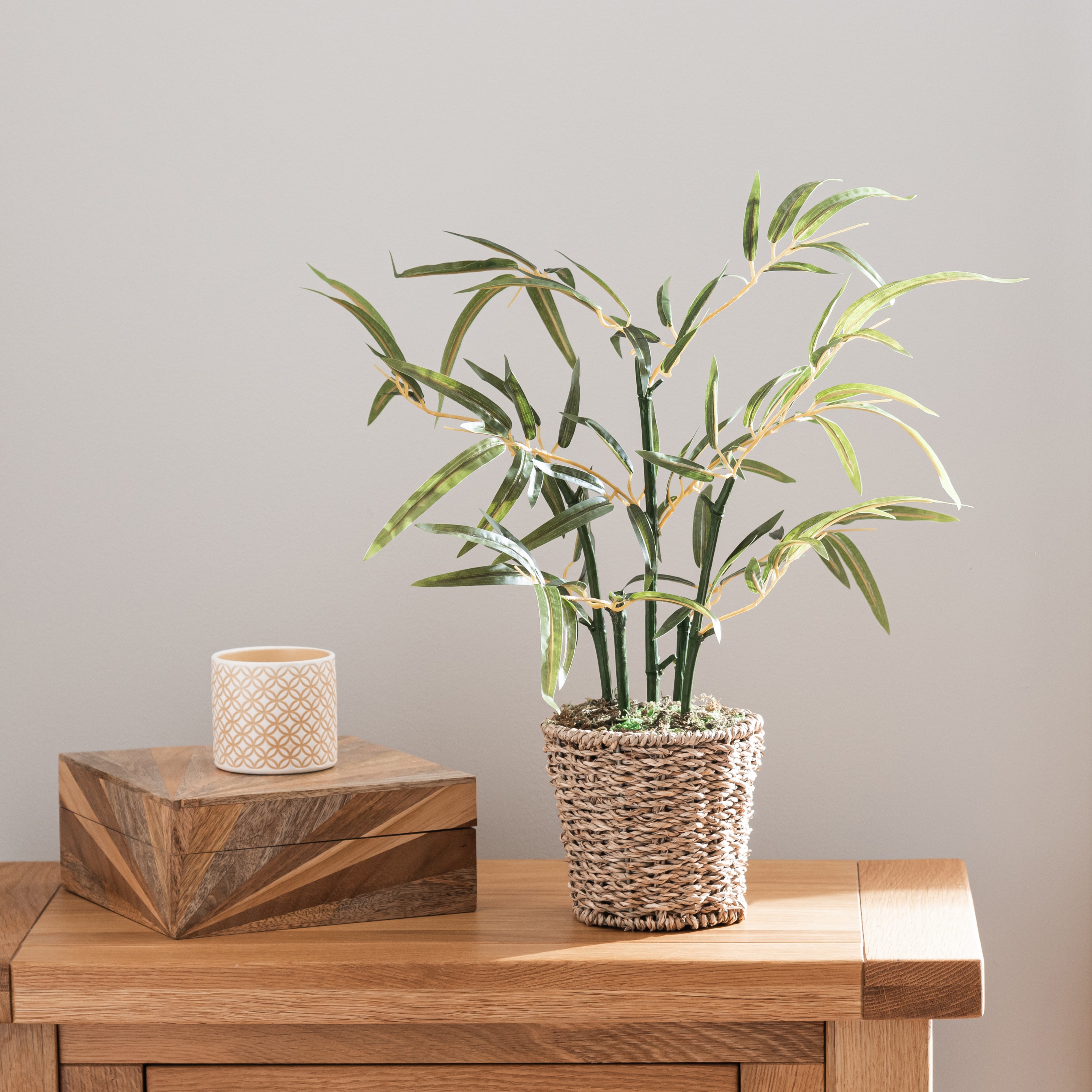 Artificial Small Bamboo in Woven Plant Pot