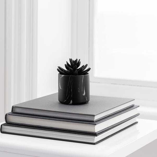 Artificial Succulent in Black Marble Plant Pot image 1 of 3