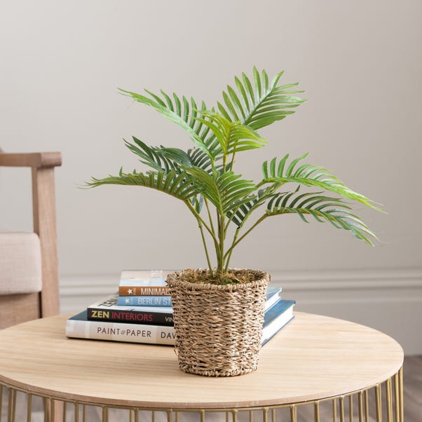Artificial Small Palm in Woven Plant Pot image 1 of 5