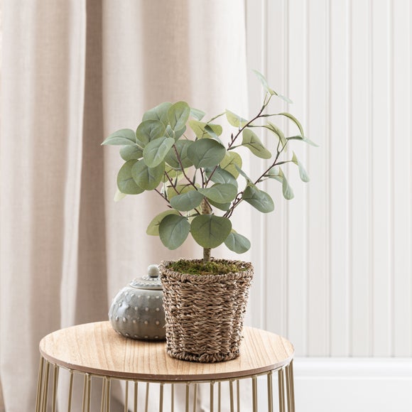 Artificial Small Eucalyptus Tree In Woven Plant Pot