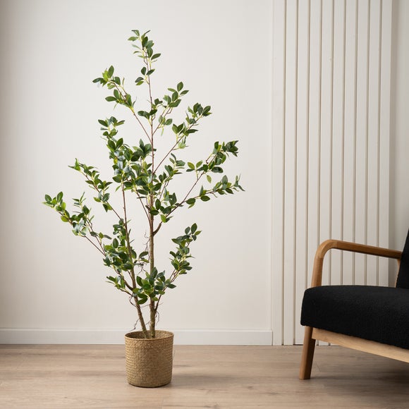 Artificial Slim Silhouette Ficus Tree In Black Plant Pot