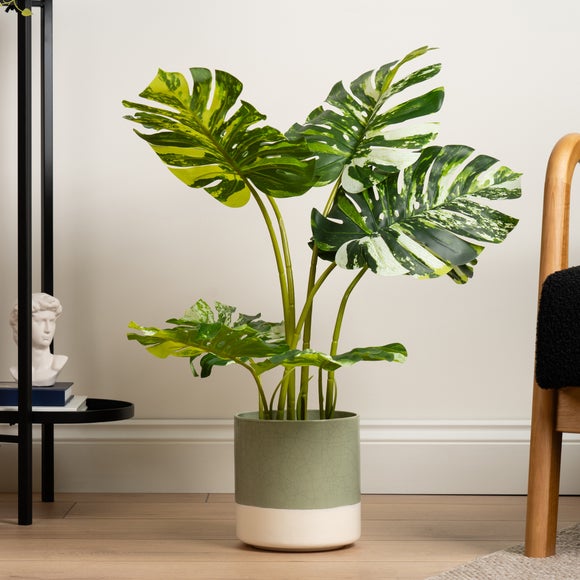 Artificial Real Touch Variegated Monstera In Black Plant Pot