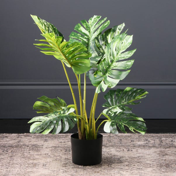 Artificial Real Touch Variegated Monstera in Black Plant Pot image 1 of 2