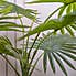 70cm Real Touch Fan Palm Green