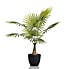 70cm Real Touch Fan Palm Green
