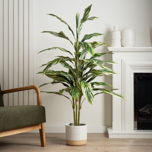 Artificial Variegated Alpinia Plant In Black Plant Pot