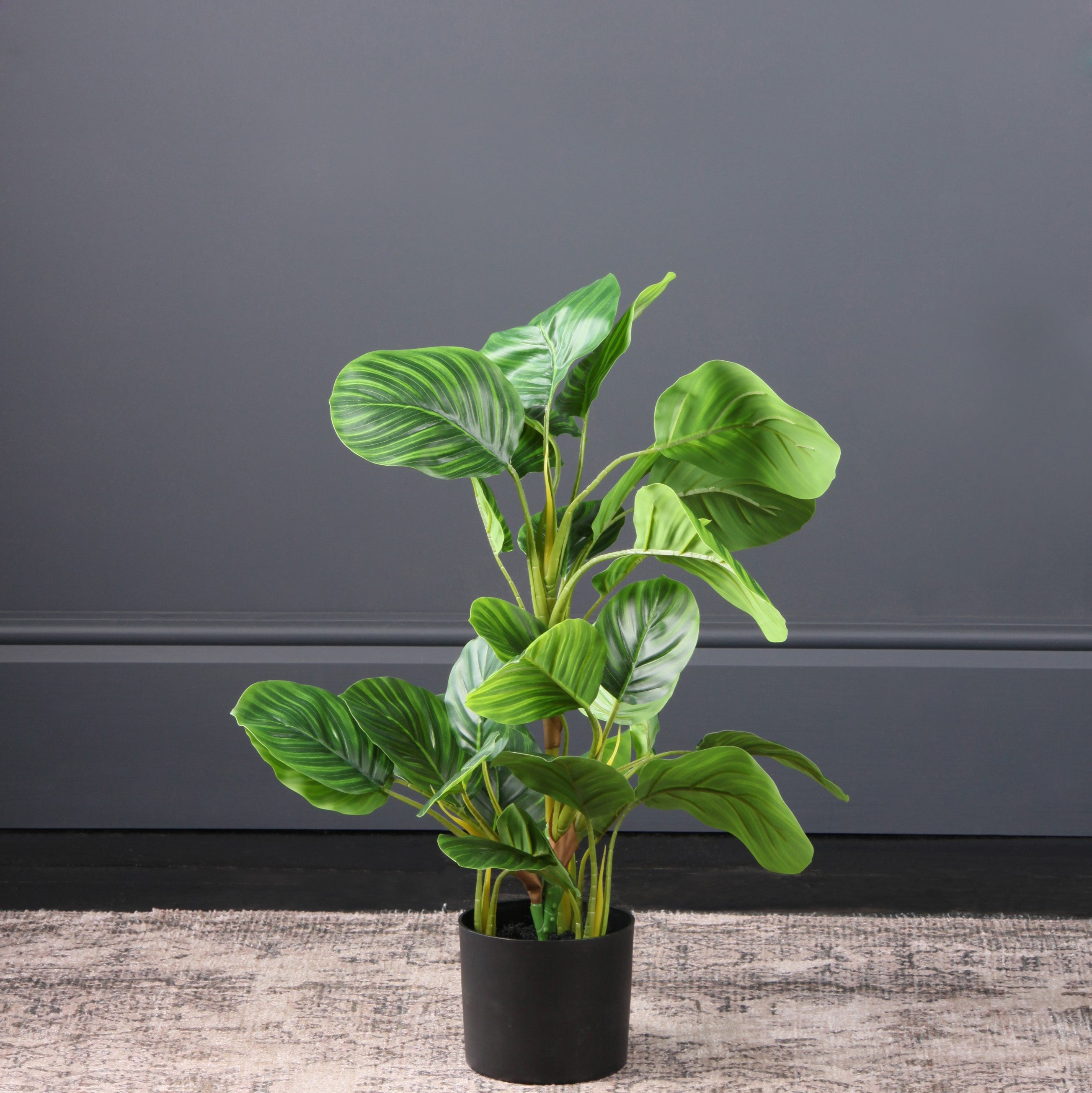 Artificial Real Touch Arrowroot in Black Plant Pot