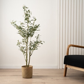 Artificial Slim Silhouette Olive Tree in Black Plant Pot