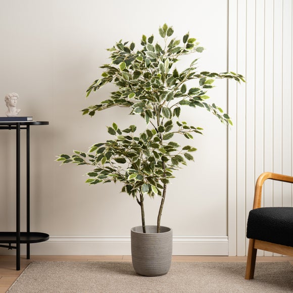 Artificial Variegated Ficus Tree In White Plant Pot