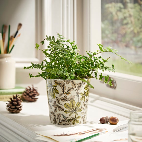 Dunelm indoor store plant pots