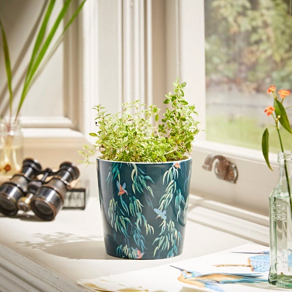 Small indoor plant deals pots