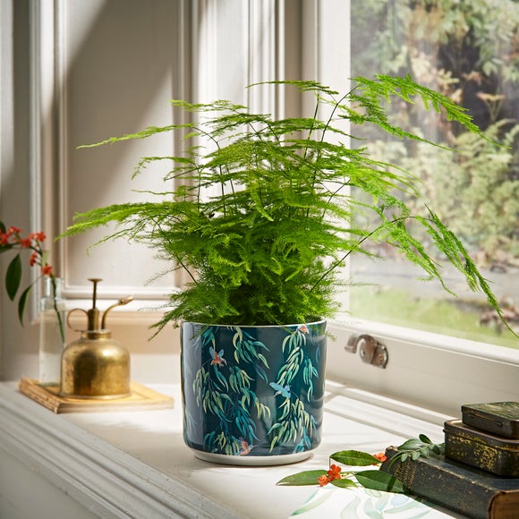 Plant deals vase indoor