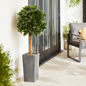 Artificial Bay Tree in Anthracite Pot 120cm