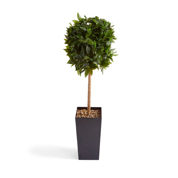 Carousel navigation image position 4 of 4