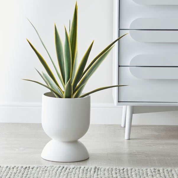 Ceramic White Plant Pot image 1 of 3