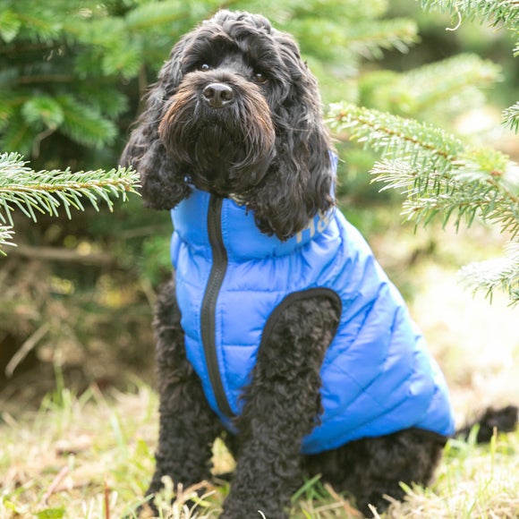 Hugo Hudson Blue Reversible Dog Puffer Coat Dunelm