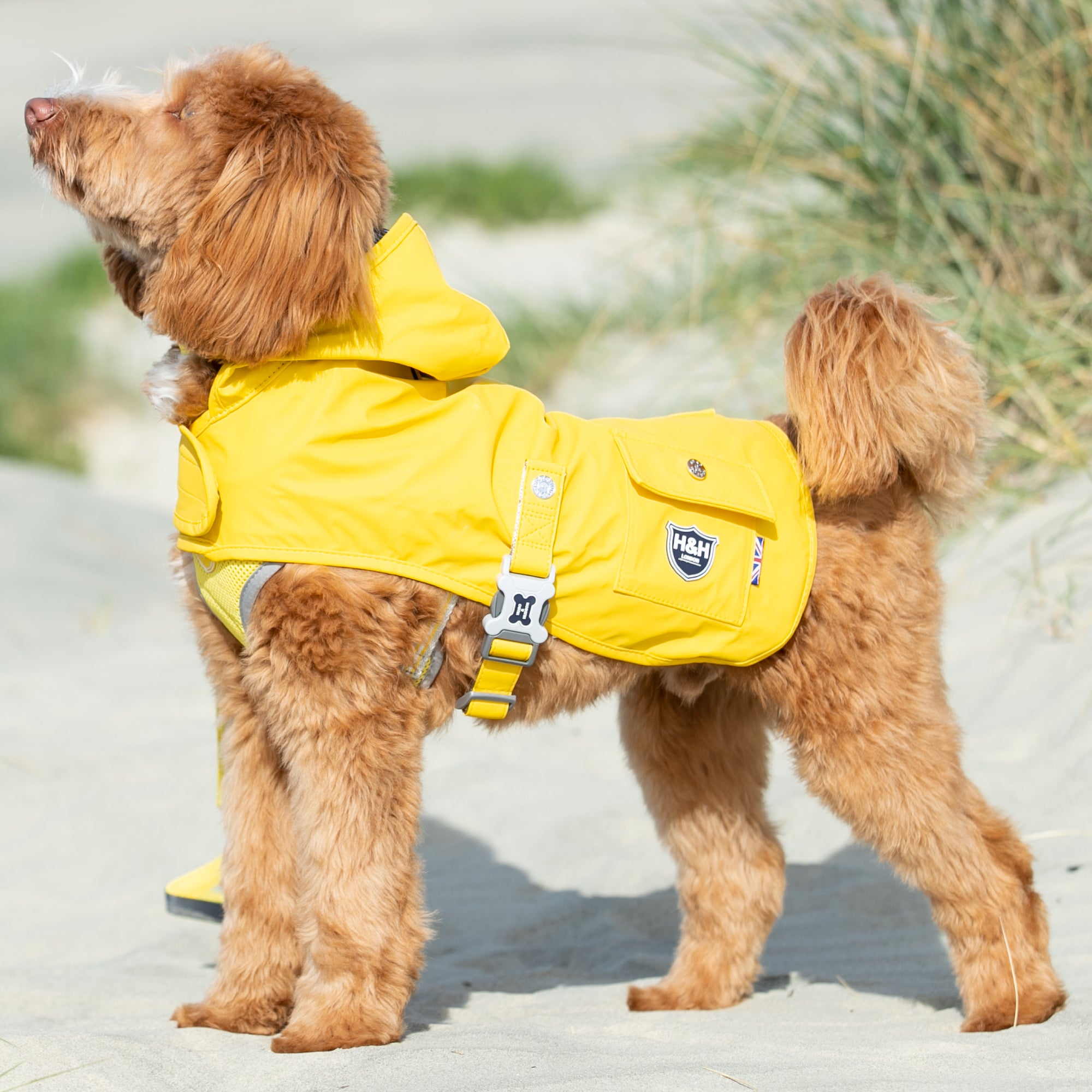 Hugo & Hudson Yellow Dog Rain Coat Yellow