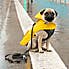 Hugo & Hudson Yellow Dog Rain Coat  undefined