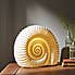 Porcelain Ammonite Lamp Off-White