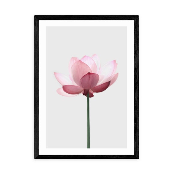 Carousel navigation image position 2 of 2