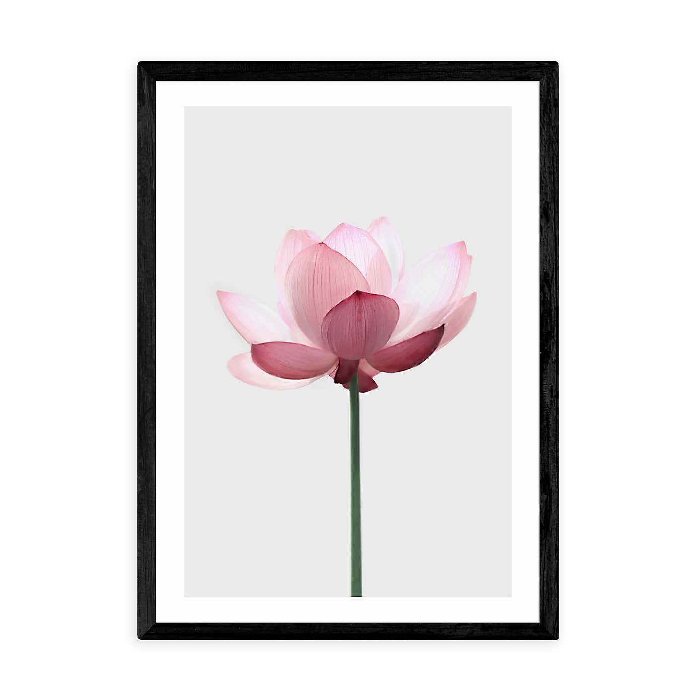 Carousel zoom image position 2 of 2