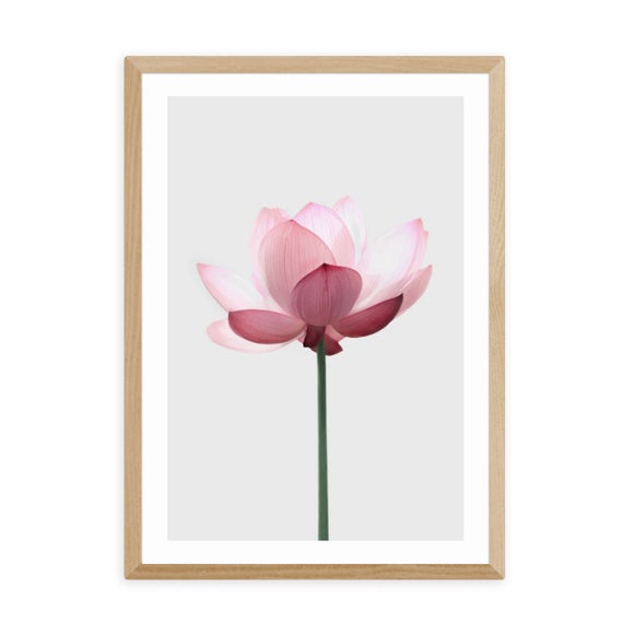 Carousel navigation image position 2 of 2