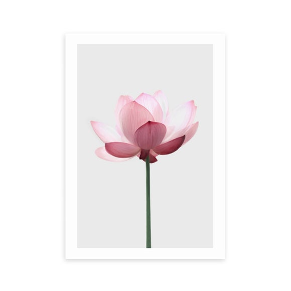 East End Prints Lotus Print