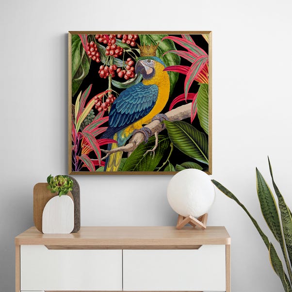 Parrot King I Framed Print image 1 of 3