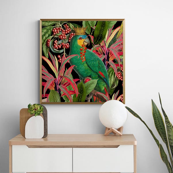 Parrot King II Framed Print image 1 of 3