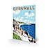 The Art Group Cornwall Wooden Wall Art MultiColoured