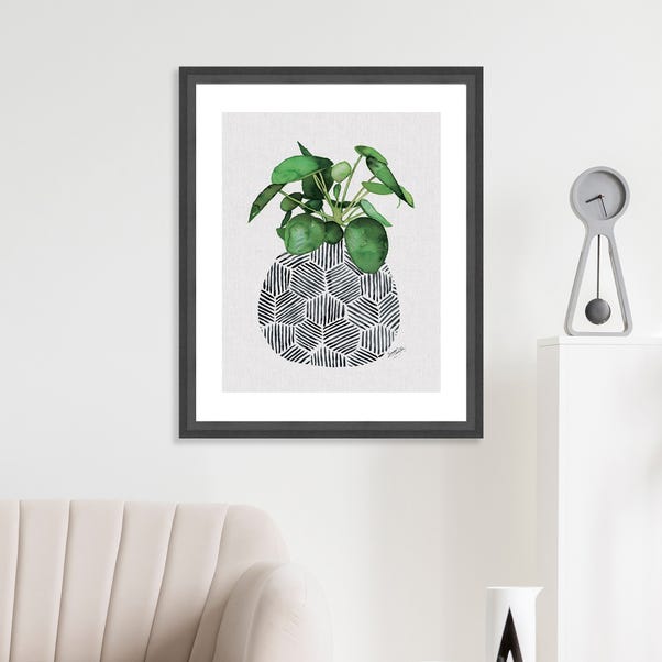 The Art Group Chinese Money Plant Framed Print image 1 of 4