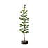 Large Woodland Pine Tree With Wooden Base  Green
