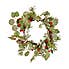 Winter Frosted Leaf and Red Berry Wreath Red