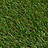 Artificial Grass  undefined