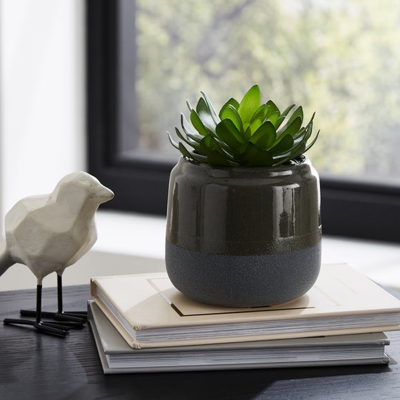 Artificial Succulent in Ceramic Matte and Gloss Plant Pot Dunelm
