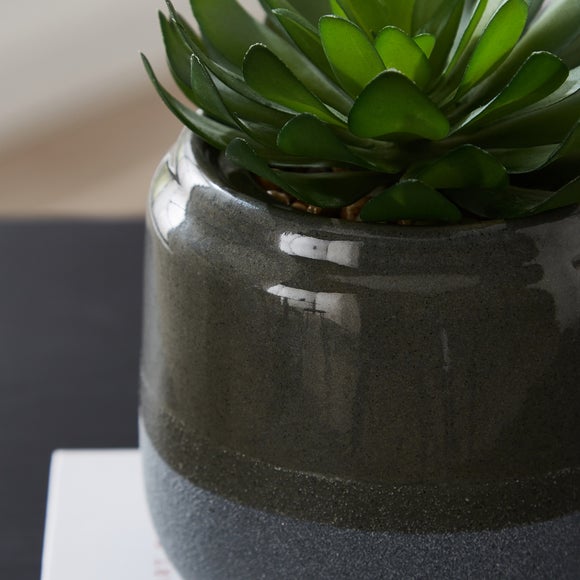 Artificial Succulent in Ceramic Matte and Gloss Plant Pot Dunelm