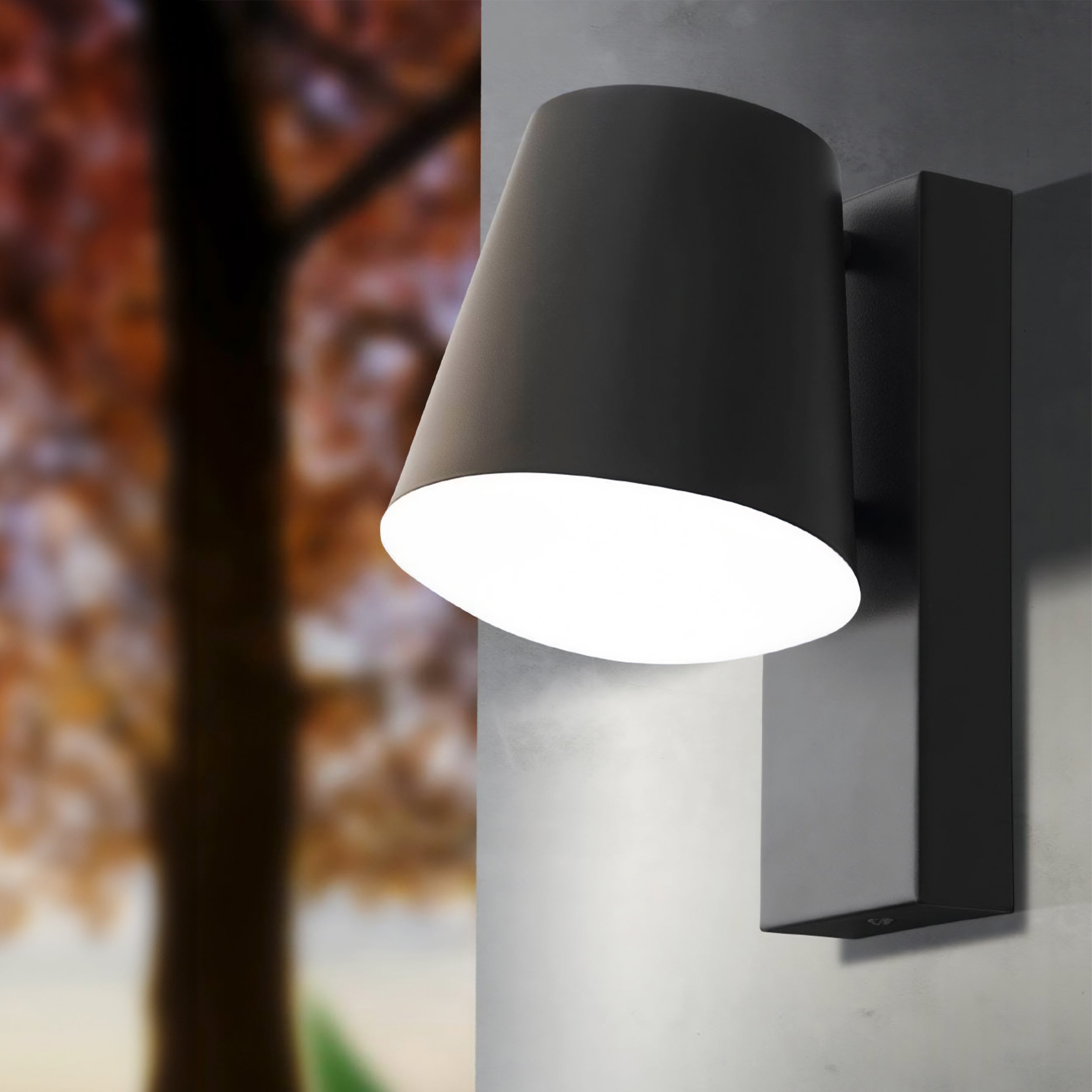 Eglo Caldiero Led Outdoor Wall Light Anthracite