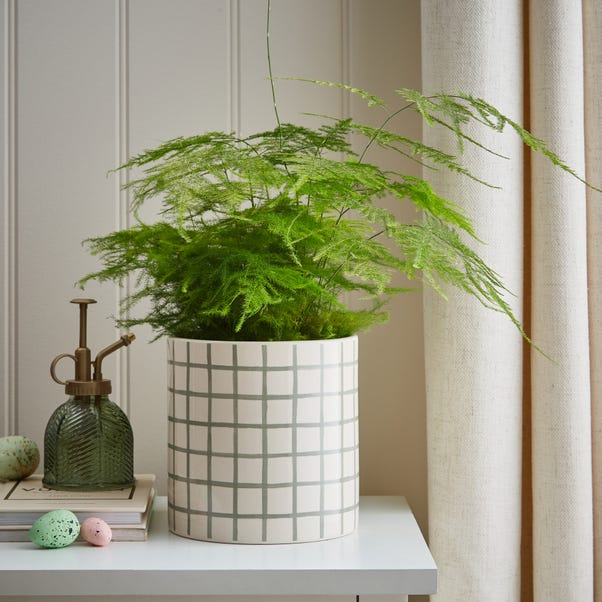 Ceramic Decal Plant Pot Sage (Green)