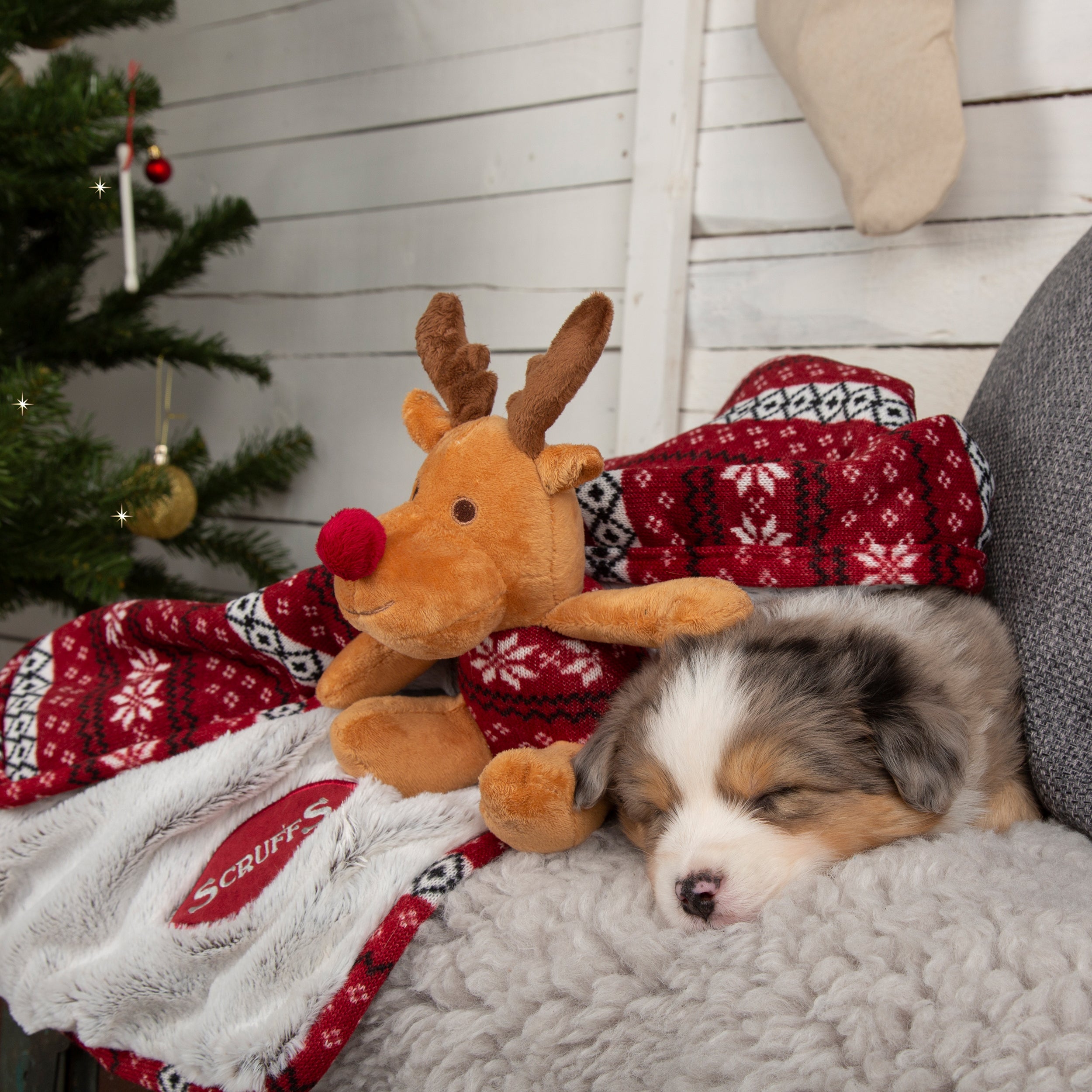 Scruffs Santa Paws Blanket Toy Dog Gift Set Burgundy