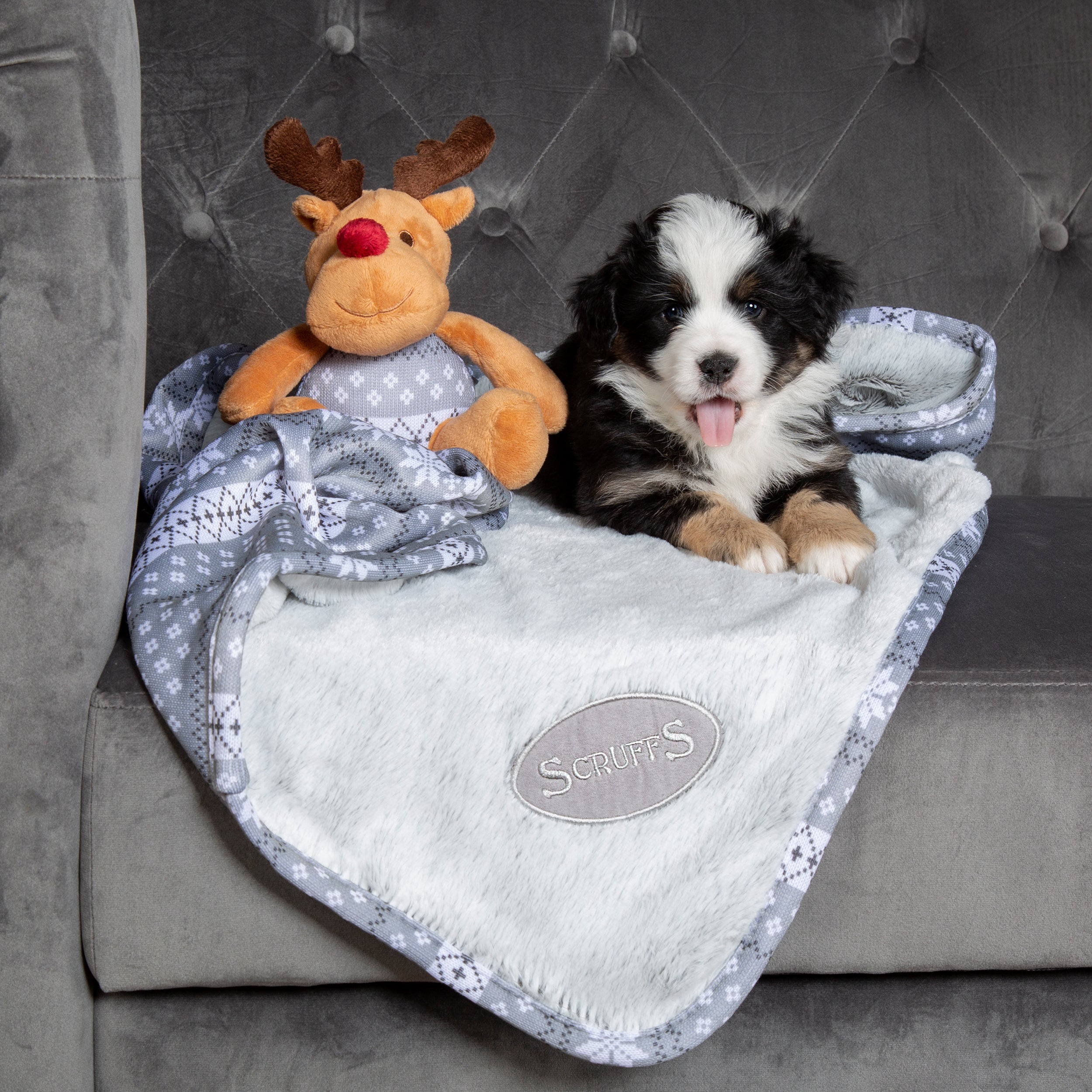 Scruffs Santa Paws Blanket & Toy Dog Gift Set Grey