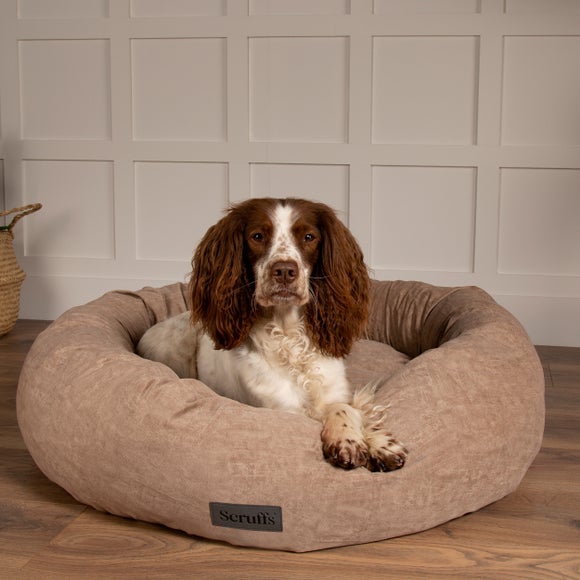 Dog top beds dunelm