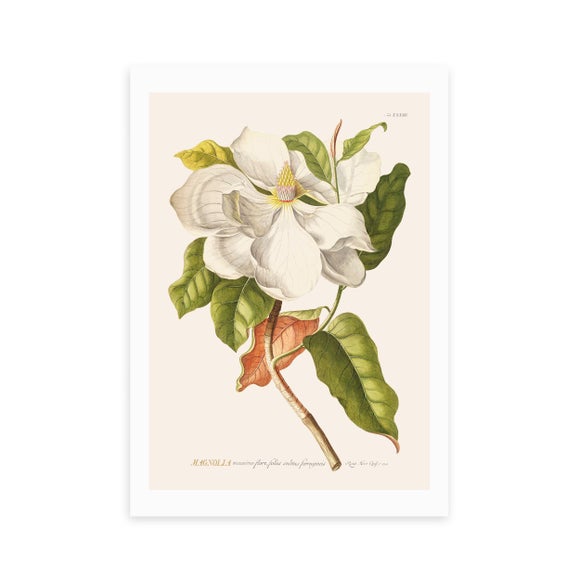 Carousel navigation image position 2 of 2