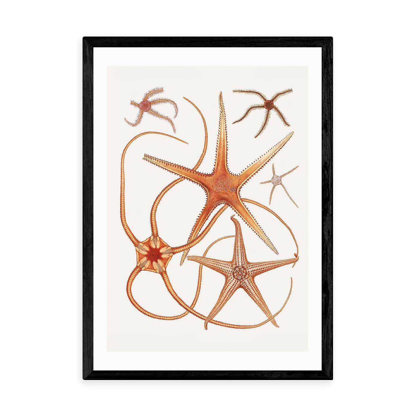 Carousel zoom image position 2 of 2