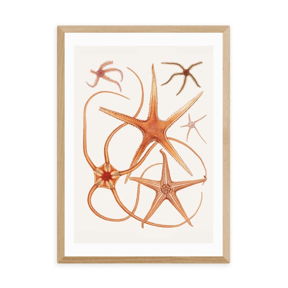 Carousel navigation image position 2 of 2